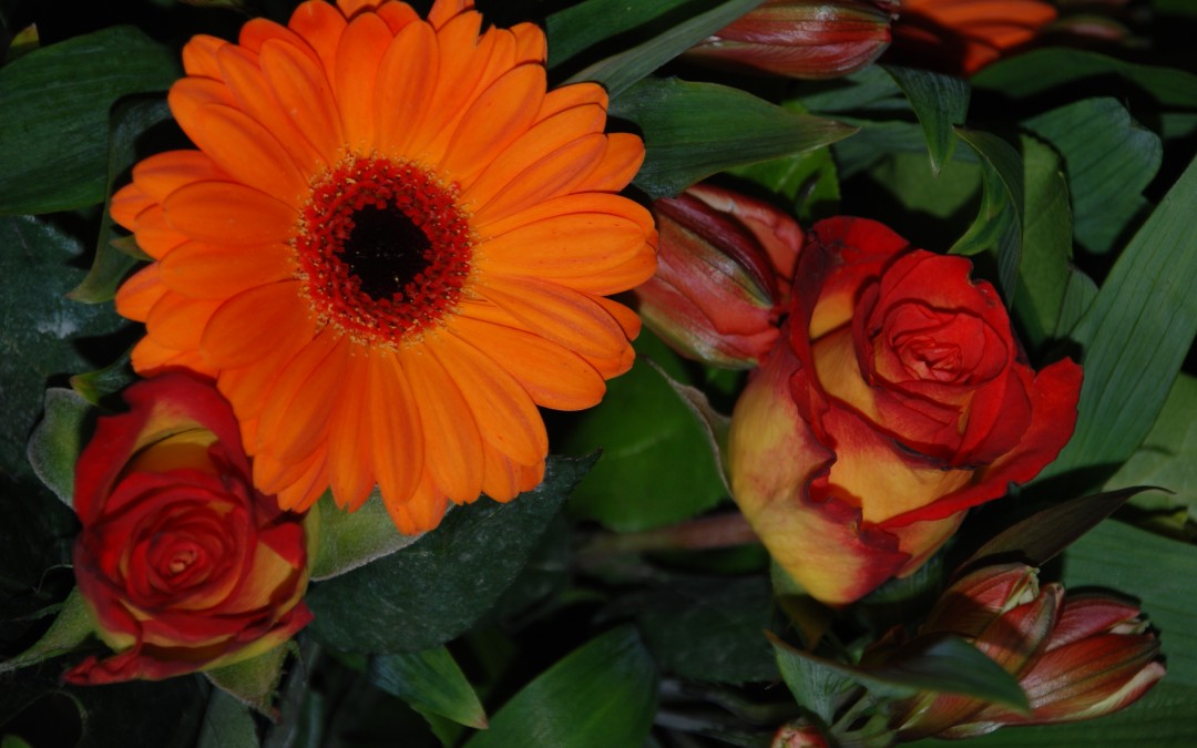 Een kleurrijke bloemenavond