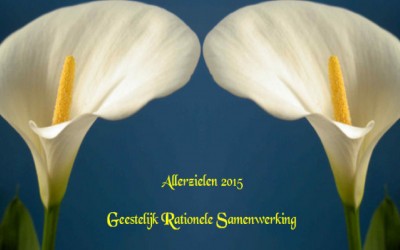 Allerzielen door Loes van Loon 29 oktober 2015.