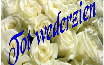 Rie van der Zijden