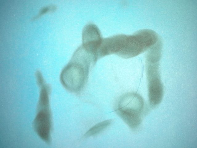 20160922_2112071