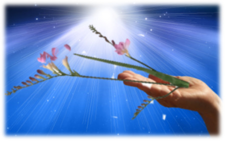 Openbare avond met Karel Haakman.